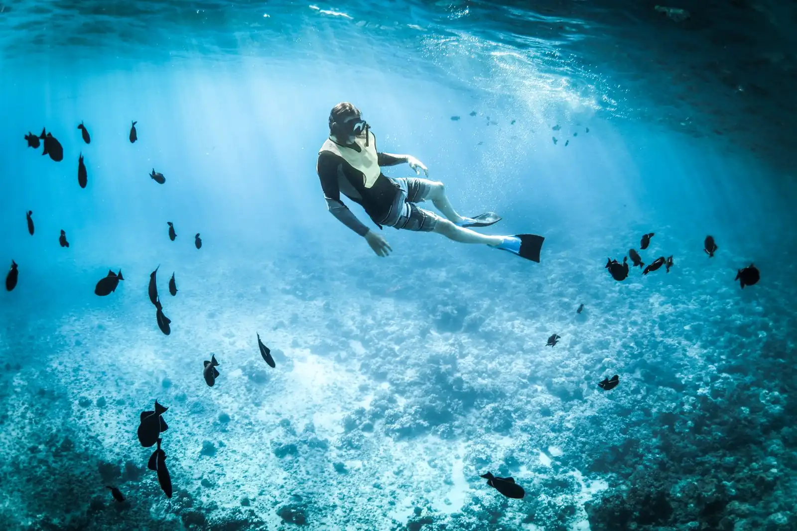 Photo — Diving and snorkeling