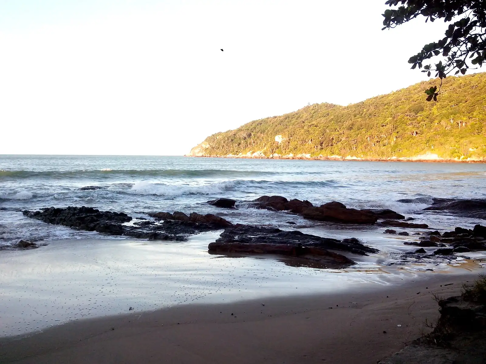 Praia da Sepultura — photo 2